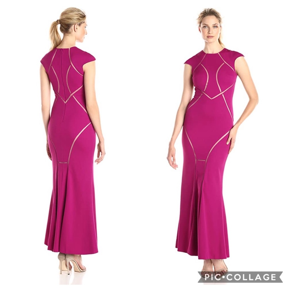 NWT Pink mesh cutout formal Dress
